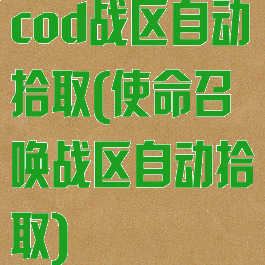 cod战区自动拾取(使命召唤战区自动拾取)