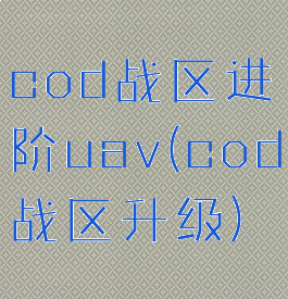 cod战区进阶uav(cod战区升级)