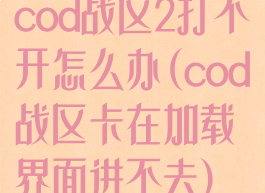 cod战区2打不开怎么办(cod战区卡在加载界面进不去)