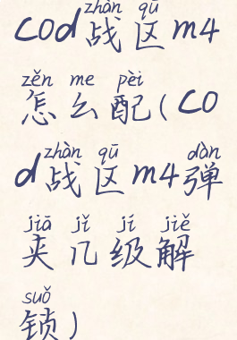 cod战区m4怎么配(cod战区m4弹夹几级解锁)