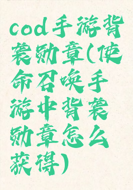 cod手游背袭勋章(使命召唤手游中背袭勋章怎么获得)
