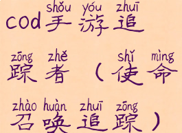 cod手游追踪者(使命召唤追踪)