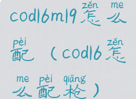 cod16m19怎么配(cod16怎么配枪)