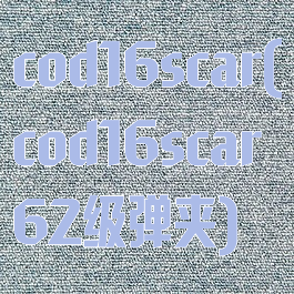 cod16scar(cod16scar62级弹夹)