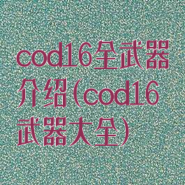 cod16全武器介绍(cod16武器大全)