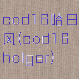 cod16哈日风(cod16holger)