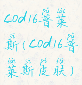 cod16普莱斯(cod16普莱斯皮肤)