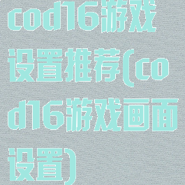 cod16游戏设置推荐(cod16游戏画面设置)