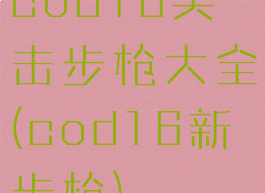 cod16突击步枪大全(cod16新步枪)