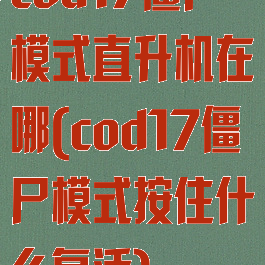 cod17僵尸模式直升机在哪(cod17僵尸模式按住什么复活)