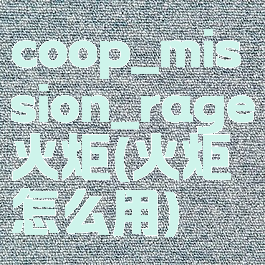 coop_mission_rage火炬(火炬怎么用)