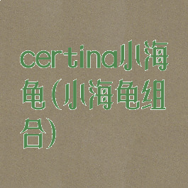 certina小海龟(小海龟组合)