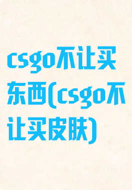 csgo不让买东西(csgo不让买皮肤)