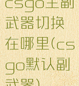csgo主副武器切换在哪里(csgo默认副武器)