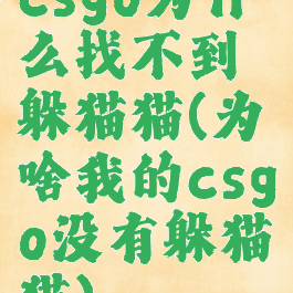 csgo为什么找不到躲猫猫(为啥我的csgo没有躲猫猫)