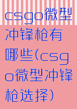 csgo微型冲锋枪有哪些(csgo微型冲锋枪选择)