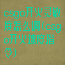 csgo开火灵敏度怎么调(csgo开火速度指令)