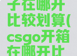 csgo开箱子在哪开比较划算(csgo开箱在哪开比较好)