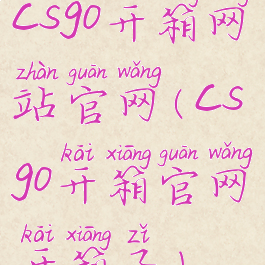 csgo开箱网站官网(csgo开箱官网开箱子)