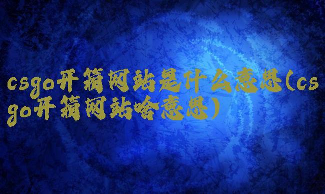 csgo开箱网站是什么意思(csgo开箱网站啥意思)