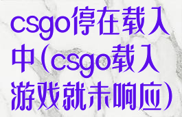 csgo停在载入中(csgo载入游戏就未响应)