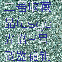 csgo光谱二号收藏品(csgo光谱2号武器箱钥匙多少钱)