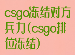 csgo冻结对方兵力(csgo排位冻结)