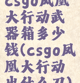 csgo凤凰大行动武器箱多少钱(csgo凤凰大行动出什么刀)