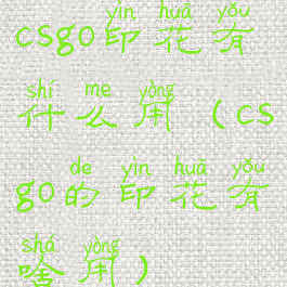csgo印花有什么用(csgo的印花有啥用)