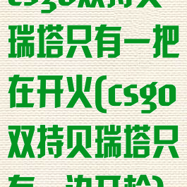 csgo双持贝瑞塔只有一把在开火(csgo双持贝瑞塔只有一边开枪)
