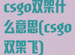 csgo双架什么意思(csgo双架飞)