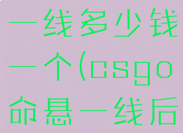csgo命悬一线多少钱一个(csgo命悬一线后面怎么接)