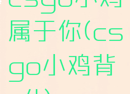 csgo小鸡属于你(csgo小鸡背c4)