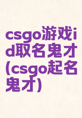 csgo游戏id取名鬼才(csgo起名鬼才)