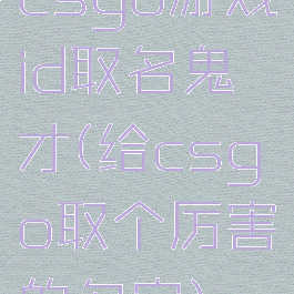 csgo游戏id取名鬼才(给csgo取个厉害的名字)