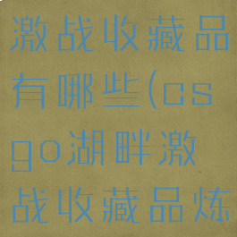 csgo湖畔激战收藏品有哪些(csgo湖畔激战收藏品炼金)