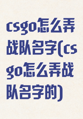 csgo怎么弄战队名字(csgo怎么弄战队名字的)