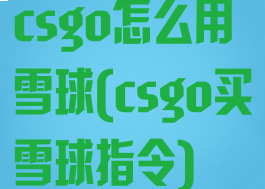 csgo怎么用雪球(csgo买雪球指令)