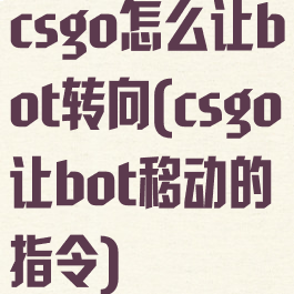 csgo怎么让bot转向(csgo让bot移动的指令)