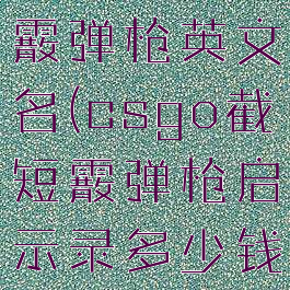 csgo截短霰弹枪英文名(csgo截短霰弹枪启示录多少钱)