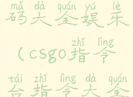 csgo指令代码大全娱乐(csgo指令台指令大全)