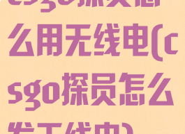 csgo探员怎么用无线电(csgo探员怎么发无线电)