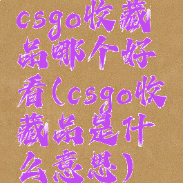 csgo收藏品哪个好看(csgo收藏品是什么意思)