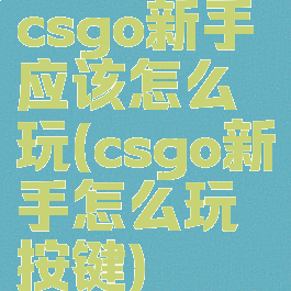 csgo新手应该怎么玩(csgo新手怎么玩按键)