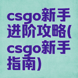 csgo新手进阶攻略(csgo新手指南)