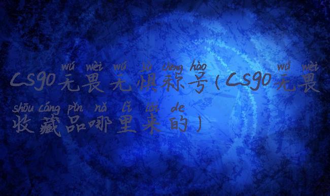 csgo无畏无惧称号(csgo无畏收藏品哪里来的)