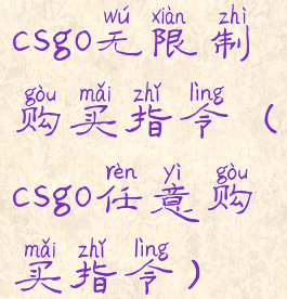 csgo无限制购买指令(csgo任意购买指令)