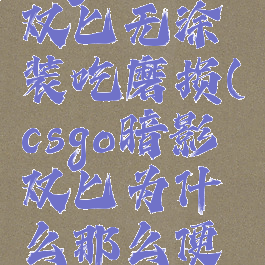 csgo暗影双匕无涂装吃磨损(csgo暗影双匕为什么那么便宜)