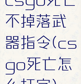 csgo死亡不掉落武器指令(csgo死亡怎么打字)
