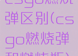 csgo燃烧弹区别(csgo燃烧弹和燃烧瓶)